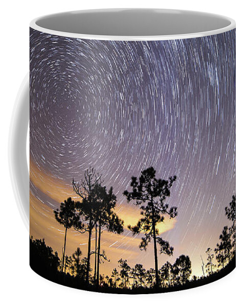 St Jamesstartreails Coffee Mug featuring the photograph Pepperbush Stars by Nick Noble