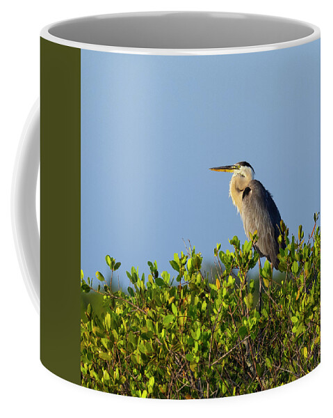 R5-2618 Coffee Mug featuring the photograph Perched by Gordon Elwell