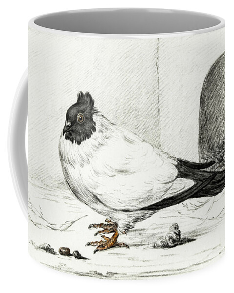 Animal Coffee Mug featuring the painting Pigeon and a nest with an egg #1 by MotionAge Designs