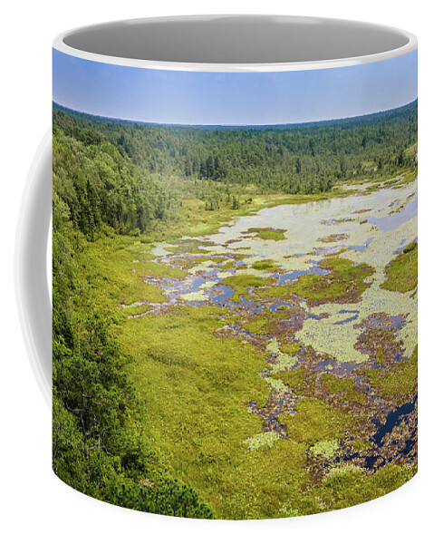 Coffee Mug featuring the photograph Pine Barrens Landscape by Louis Dallara