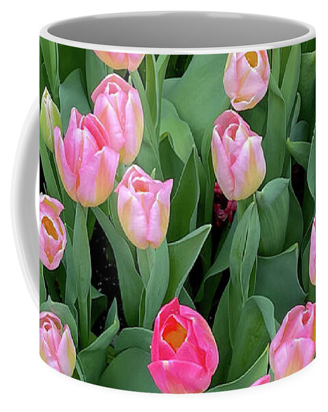 Spring Coffee Mug featuring the photograph Pink Tulips #1 by Cathy Donohoue
