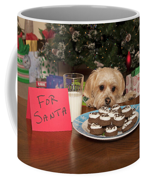 Puppy Coffee Mug featuring the photograph Puppy Checking Out Christmas Cookies #1 by Jim Vallee