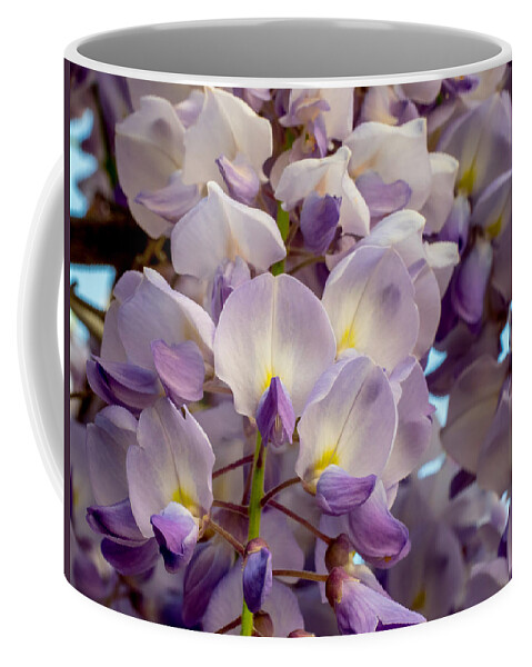 Flowers Coffee Mug featuring the photograph Purplicious #1 by Derek Dean