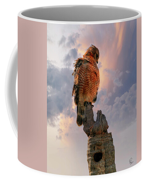 Red Shouldered Hawk Coffee Mug featuring the photograph Red Shouldered Hawk #1 by Robert Harris