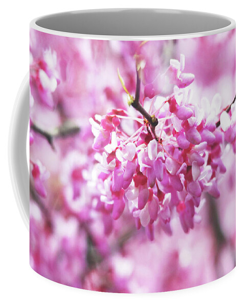 Flowers Coffee Mug featuring the photograph Redbud Blossoms #2 by Trina Ansel