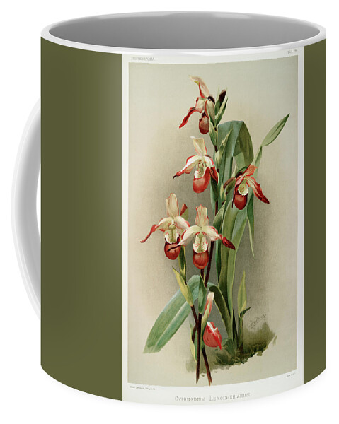 Reichenbachia Orchids Coffee Mug featuring the mixed media Reichenbachia Orchids #1 by World Art Collective
