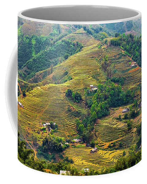 Black Coffee Mug featuring the photograph Rice Terraces in Sapa by Arj Munoz