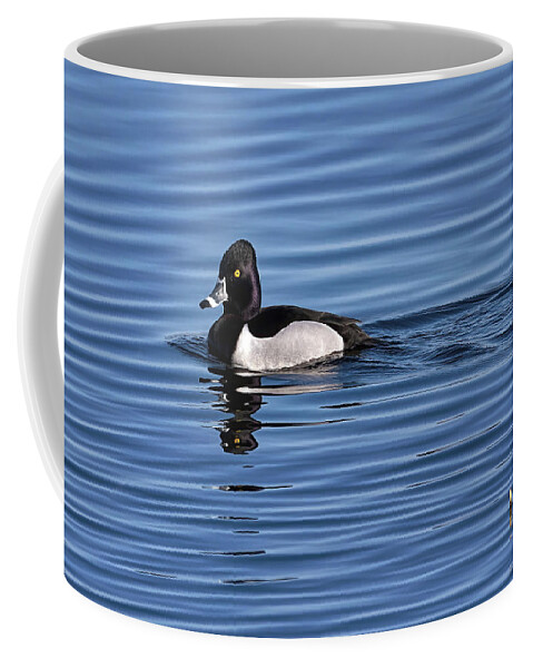 Duck Coffee Mug featuring the photograph Ring-necked Duck Profile #1 by Flinn Hackett
