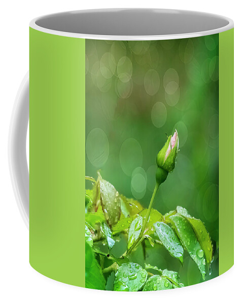 Flower Coffee Mug featuring the photograph Rose Bud 1355 #1 by Cathy Kovarik