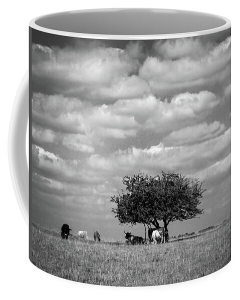 Britain Coffee Mug featuring the photograph Scenic Cotswolds - Cattle on Minchinhampton Common #1 by Seeables Visual Arts
