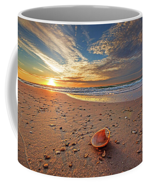 Alabama Coffee Mug featuring the photograph Seashell by the Seashore #1 by Michael Thomas