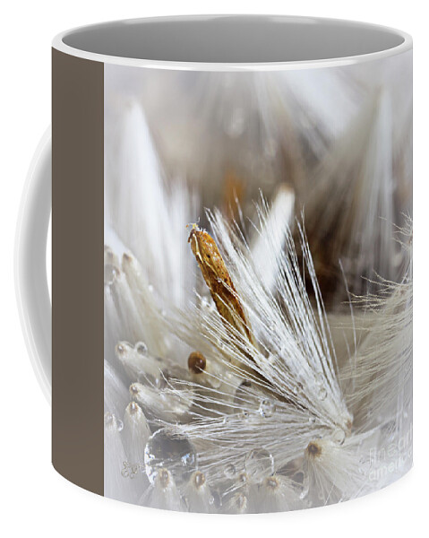 Seeds Coffee Mug featuring the photograph Seed Heads by Elaine Teague