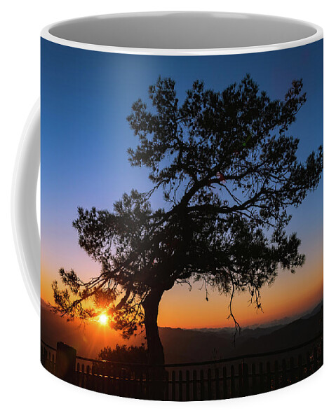 Cyprus Coffee Mug featuring the photograph Silhouette of a forest pine tree during blue hour with bright sun at sunset. by Michalakis Ppalis