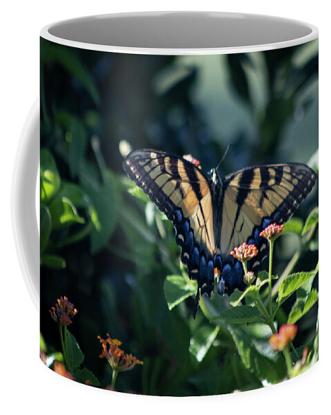 Photograph Coffee Mug featuring the photograph So Many Blooms So Little Time #1 by Suzanne Gaff