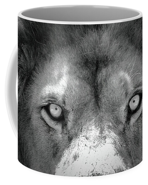 Lion Coffee Mug featuring the photograph Stare Down #1 by Lens Art Photography By Larry Trager