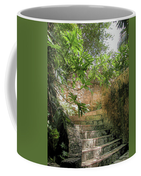 Chichen Itza Coffee Mug featuring the photograph Steps near cenote - Chichen Itza by Frank Mari
