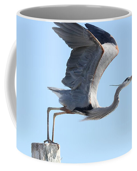 Great Blue Heron Coffee Mug featuring the photograph Taking Off by Mingming Jiang