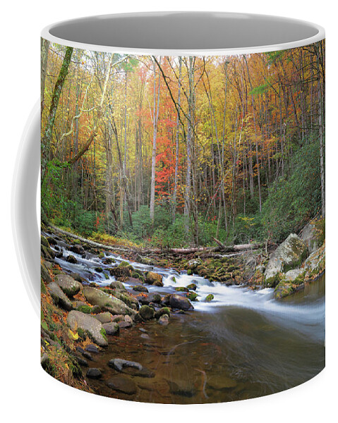 Tellico River Coffee Mug featuring the photograph Tellico Magic #1 by Rick Lipscomb
