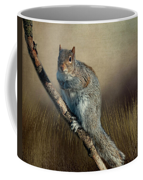 Nature Coffee Mug featuring the photograph The Squirrel by Cathy Kovarik