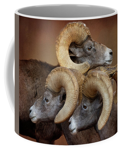 Bighorn Sheep Coffee Mug featuring the photograph Three Amigos #1 by Mary Hone