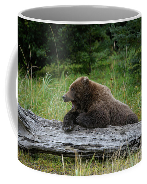 Alaska Coffee Mug featuring the photograph Time to Wake Up #1 by Patrick Nowotny