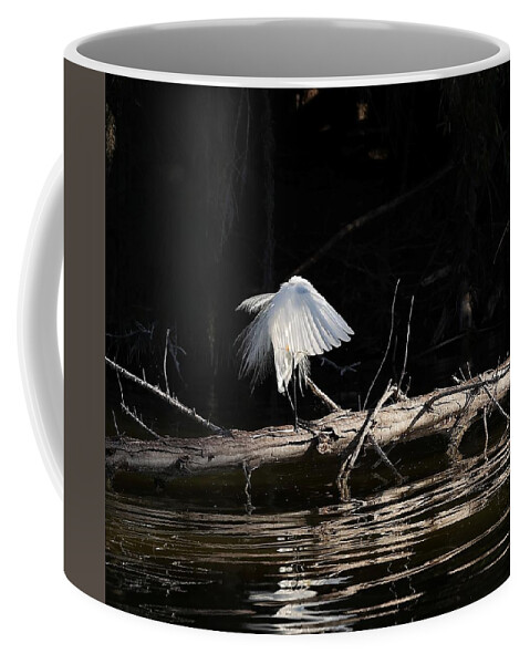 Great Egret Coffee Mug featuring the photograph Tranquil Scenery 1 #1 by Mingming Jiang