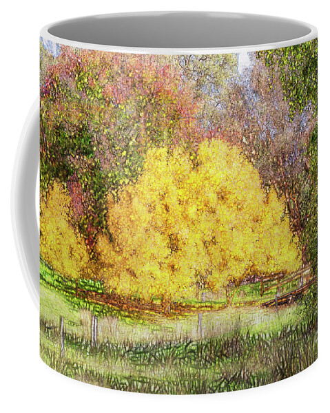 Golden Ash Coffee Mug featuring the photograph Tree Park Aglow #1 by Elaine Teague