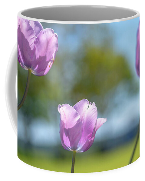 Tulip Coffee Mug featuring the photograph Tulip 3 by Kathy Paynter