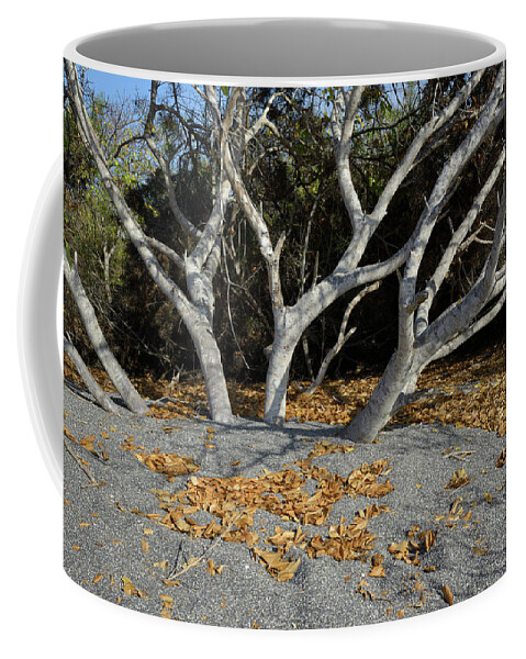 Republic Of Ecuador Coffee Mug featuring the photograph Urbina Bay, Isabela Island, Galapagos Islands, Ecuador #1 by Kevin Oke