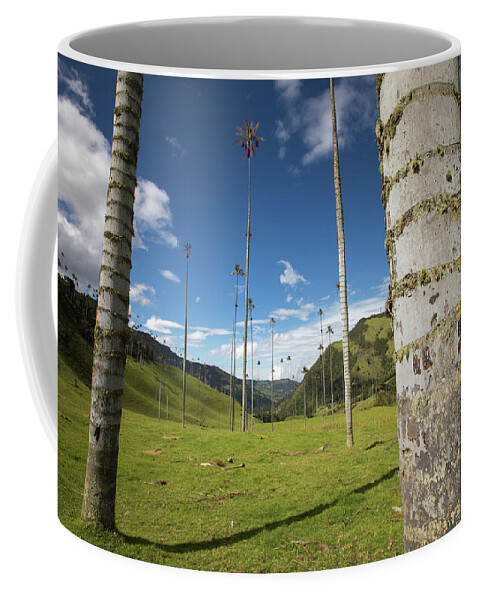 Valle Del Cocora Coffee Mug featuring the photograph Valle Del Cocora Salento Quindio Colombia #1 by Tristan Quevilly