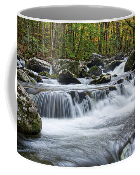Dawn Coffee Mug featuring the photograph Waiting for the Sun #1 by Phil Perkins