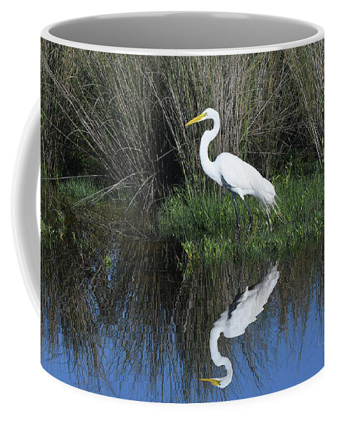 Great Egret Coffee Mug featuring the photograph Waiting Patiently #1 by Jim Bennight