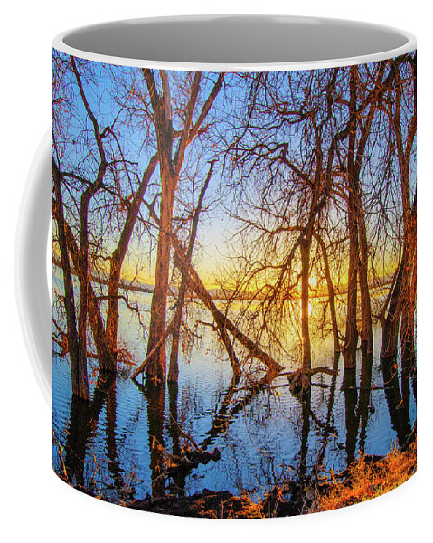 Autumn Coffee Mug featuring the photograph Twisted Trees On Lake at Sunset by Tom Potter