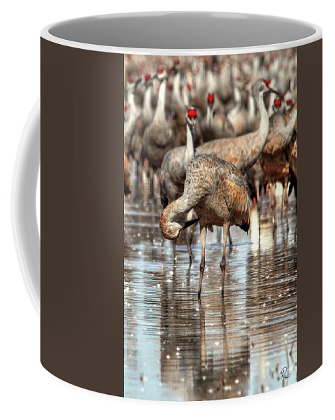 Wildlife Coffee Mug featuring the photograph Whitewater Draw 2537 by Robert Harris