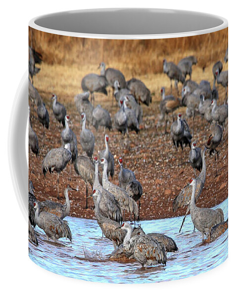 Wildlife Coffee Mug featuring the photograph Whitewater Draw Image 312 by Robert Harris