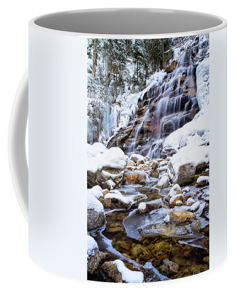 White Mountain National Forest Coffee Mug featuring the photograph Winter Cloudland #1 by Jeff Sinon