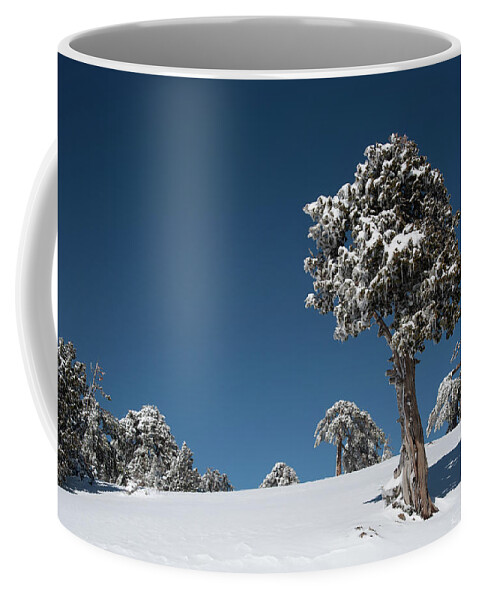 Single Tree Coffee Mug featuring the photograph Winter landscape in snowy mountains. Frozen snowy lonely fir trees against blue sky. by Michalakis Ppalis