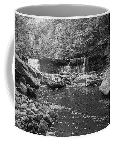  Coffee Mug featuring the photograph Great Falls #10 by Brad Nellis