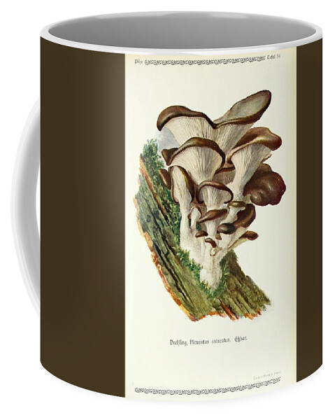 Flora Coffee Mug featuring the mixed media Vintage Fungi Illustrations #10 by World Art Collective