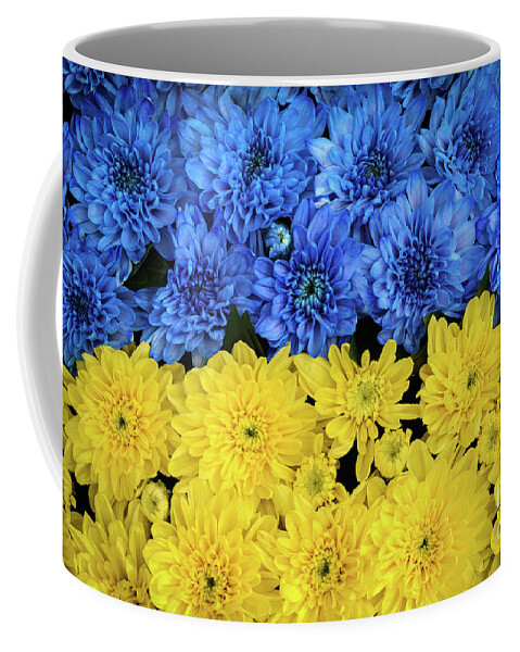 Flag Coffee Mug featuring the photograph 100 Percent of Artist Commissions Donated - Floral - Flowers Blue and Yellow Mums Nature Photo by PIPA Fine Art - Simply Solid