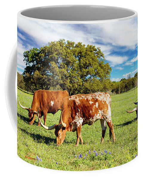 African Breed Coffee Mug featuring the photograph Texas Hill Country #11 by Raul Rodriguez