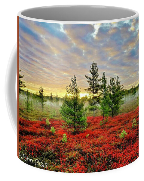  Coffee Mug featuring the photograph Rochester #12 by John Gisis