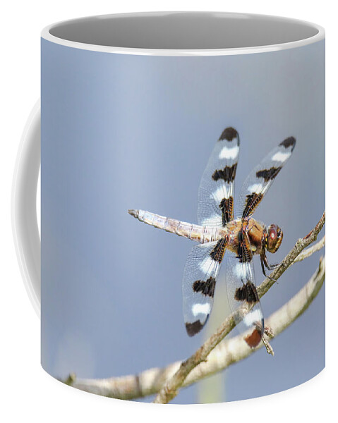 12 Spotted Skimmer Coffee Mug featuring the photograph 12 Spotted Skimmer Dragonfly by Brook Burling