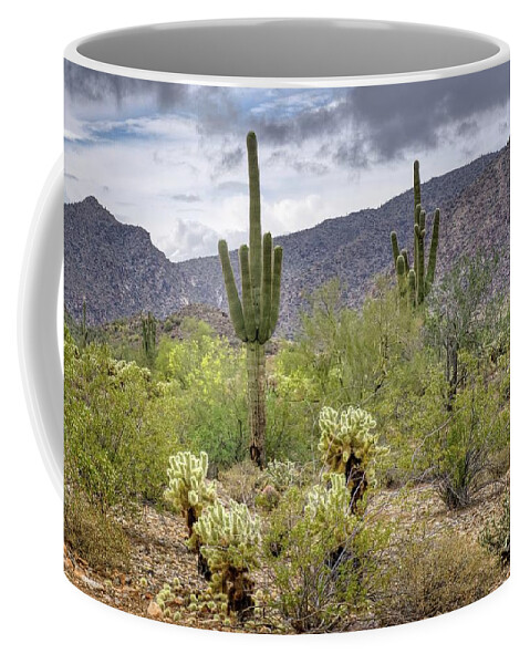 Saguaro Coffee Mug featuring the photograph White Tank Mountain Scenes Near Phoenix Arizona #12 by Kenneth Roberts