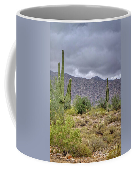 Saguaro Coffee Mug featuring the photograph White Tank Mountain Scenes Near Phoenix Arizona #13 by Kenneth Roberts