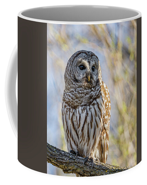 Barred Owl Coffee Mug featuring the photograph Barred Owl #14 by Brad Bellisle
