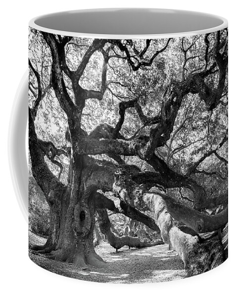 Angel Oak Coffee Mug featuring the photograph 1500 Years And Counting by Karen Wiles