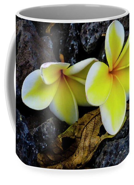 Yellow Flower Pictures Coffee Mug featuring the photograph Hawaii Flowers Photography 20150709-32 by Rowan Lyford