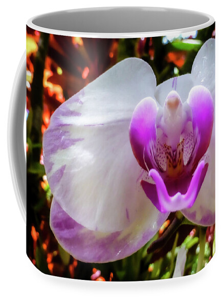 Purple Flower Pictures Coffee Mug featuring the photograph Hawaii Flower Photography 20150713-771 by Rowan Lyford