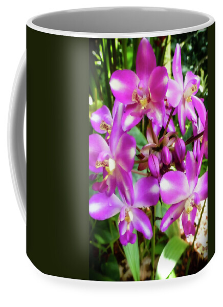 Purple Flower Picture Coffee Mug featuring the photograph Hawaii Flower Photography 20150713-889 by Rowan Lyford